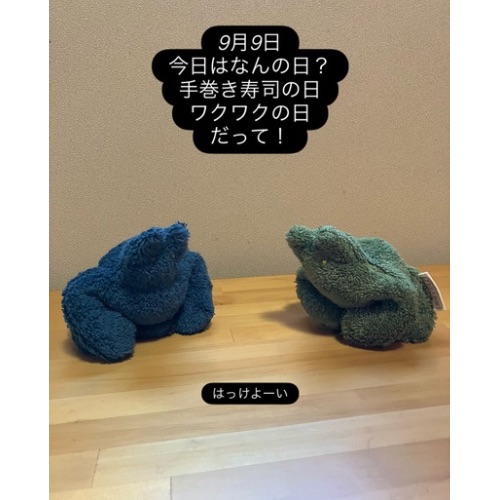 小豆カイロ　ねこマッチョ（大）　※お色お任せ(アトリエ白鯨さん)のメインイメージ